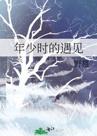 《年少时的遇见》