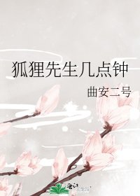 《狐狸先生几点钟》