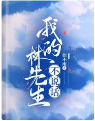 我的林先生不说话