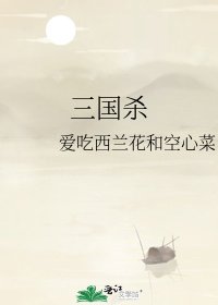 《三国杀》