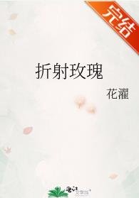 折射玫瑰