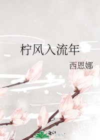 柠风入流年