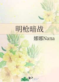 《明枪暗战》