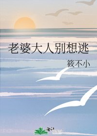 《老婆大人别想逃》