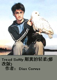 Tread Softly 期冀的轻柔(修改版) 