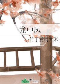 《龙中凤》