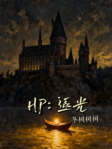 《(HP同人)HP:逐光》