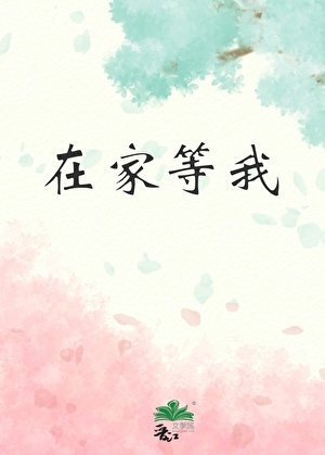 《在家等我》
