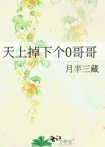 《天上掉下个0哥哥》
