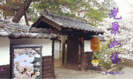 《(BL/网王同人)网王之光景如旧》