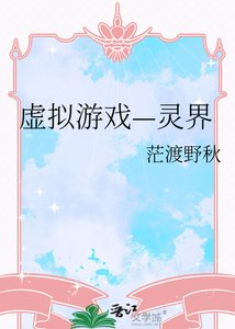 《虚拟游戏—灵界》