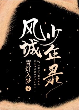 《风城少年录》