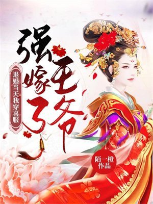 《退婚当天我穿喜服强嫁了王爷》