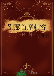 《别惹首席刺客》