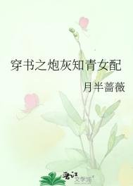 《穿书炮灰知青女配》