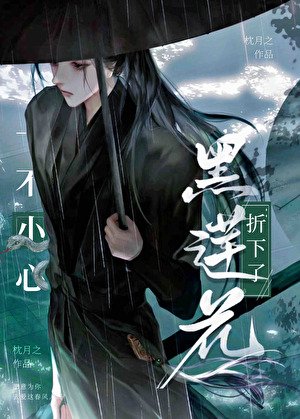 《一不小心折下了黑莲花》
