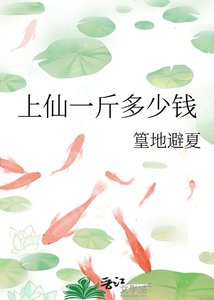 上仙一斤多少钱