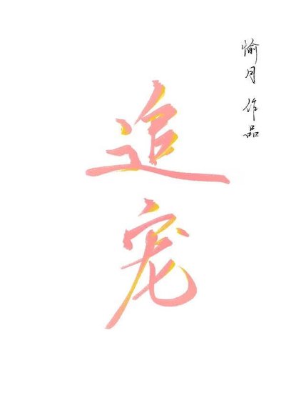 追宠