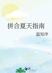 《拼合夏天指南》