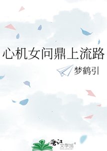 《心机女问鼎上流路》
