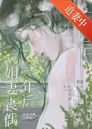 《姐妻丧偶一年后》