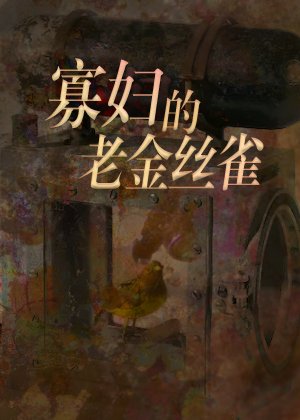 寡妇的老金丝雀