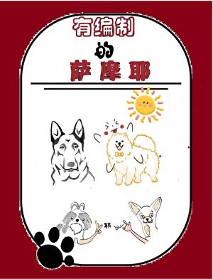 《有编制的萨摩耶》