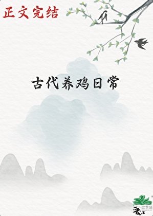 《古代养鸡日常》