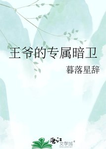 《王爷的专属暗卫》