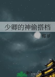 《少卿的神偷搭档》