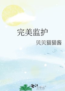 《完美监护》