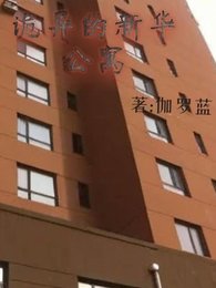 诡异的新华公寓