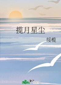揽月星尘