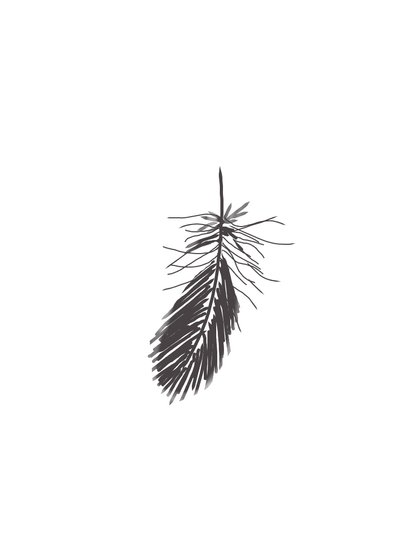 [柯南]一点小分歧