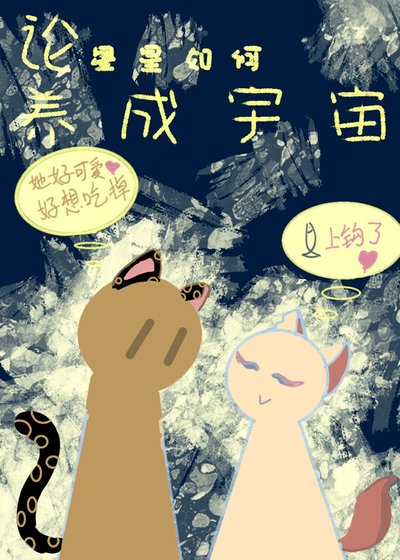 《论星星如何养成宇宙》