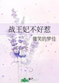 战王妃不好惹