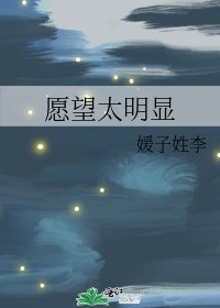 《愿望太明显》