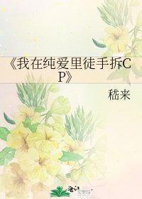 《我在纯爱里徒手拆CP》