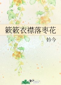 《簌簌衣襟落枣花》