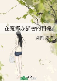 《在魔都办猫舍的日常》