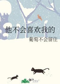 《他不会喜欢我的》