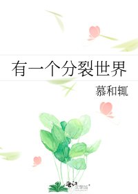 《有一个分裂世界》