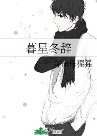 《暮星冬辞》