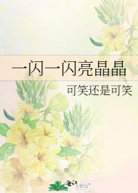 《一闪一闪亮晶晶》