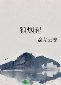 《狼烟起》