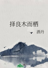 《择良木而栖》