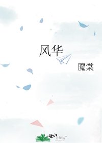《风华》