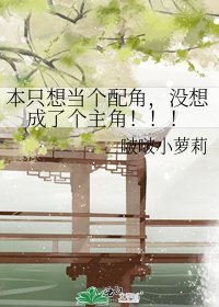本只想当个配角,没想成了个主角!!!