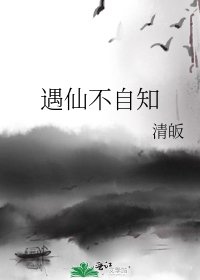 《遇仙不自知》