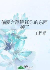 《偏爱之范锦钰你的东西掉了》